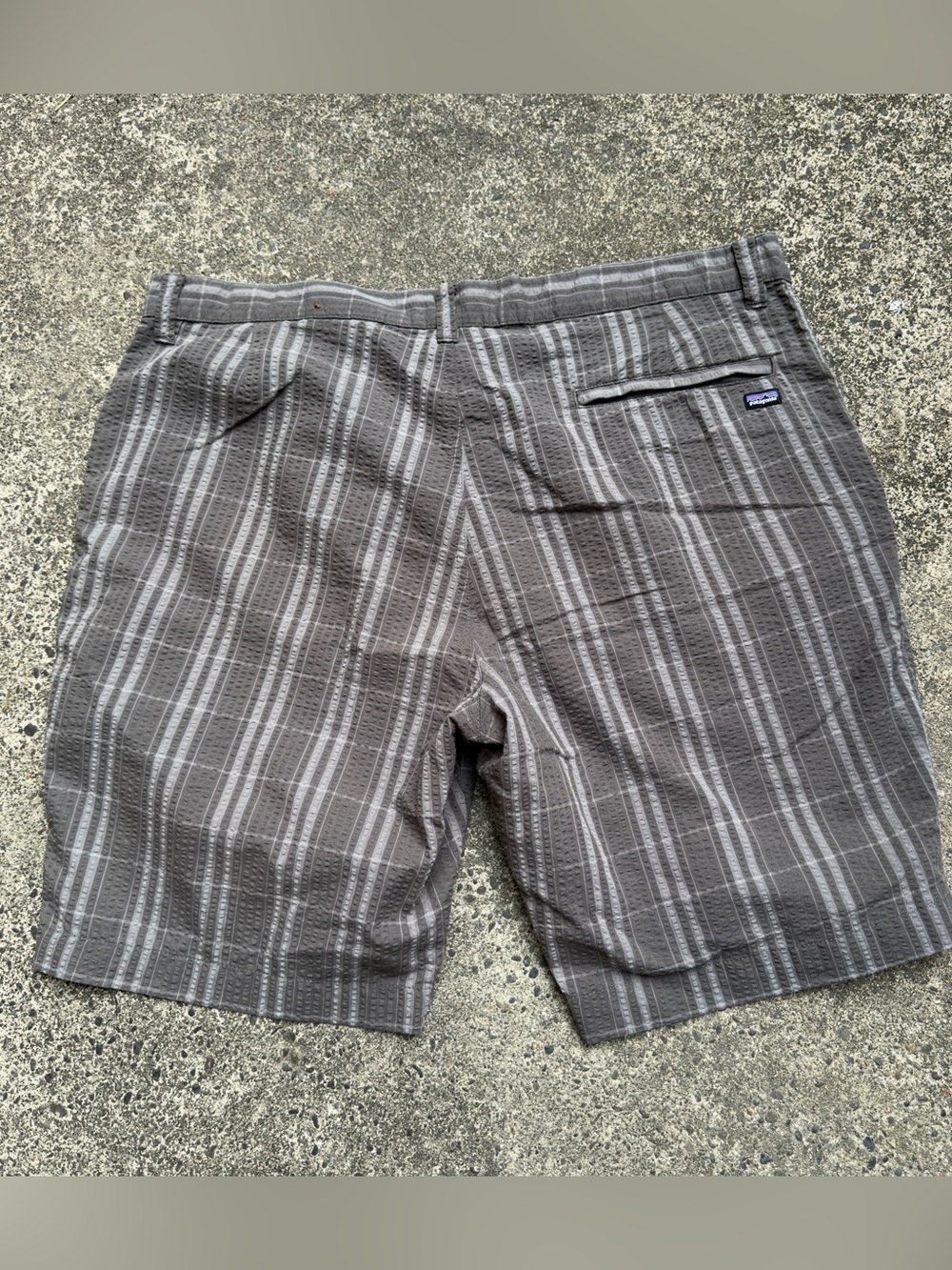 Patagonia Checkered Organic Cotton Shorts Sz 38